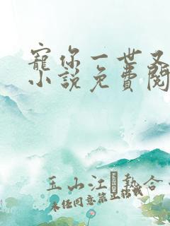 宠你一世又何妨小说免费阅读