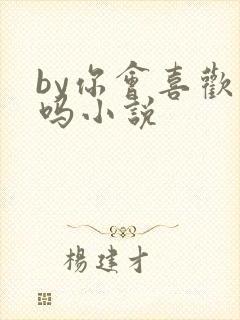 by你会喜欢我吗小说