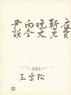 尹向晚靳夜擎小说全文免费阅读无弹窗