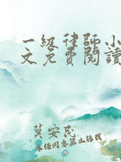 一级律师小说全文免费阅读无弹窗