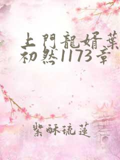 上门龙婿叶辰萧初然1173章