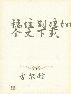 稳住别浪txt全文下载
