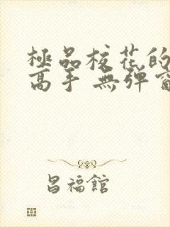 极品校花的贴身高手 无弹窗