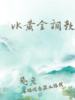 vk黄金调教