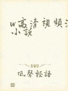 w高清视频激情小说