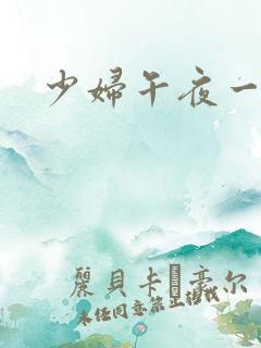 少妇午夜一区