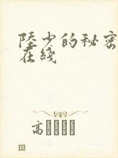 陆少的秘密恋人在线