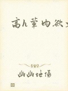 高h荤肉欲文