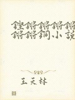 铿锵锵锵锵锵锵锵锵铜小说