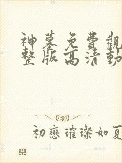 神墓免费观看完整版高清动漫在线
