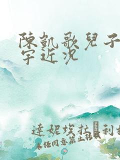 陈凯歌儿子陈飞宇近况