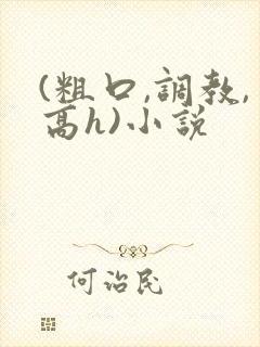 (粗口,调教,高h)小说