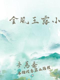金风玉露小说h