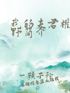 我的夫君权倾朝野简介