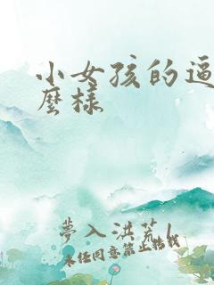 小女孩的逼长什么样