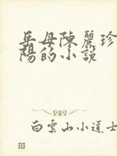 岳母陈丽珍和宋阳的小说