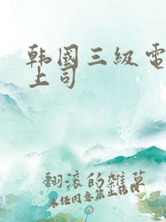 韩国三级电影女上司