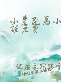 小农民马小乐小说免费