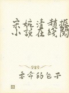 宋婉清赵振国的小说在线阅读