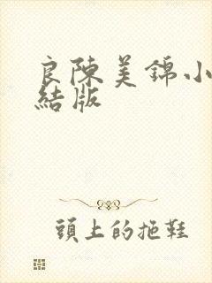 良陈美锦小说完结版