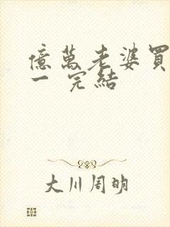 亿万老婆买一送一 完结