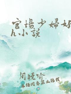 官场少妇好舒服h小说
