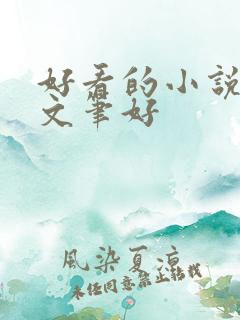 好看的小说言情文笔好