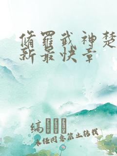修罗武神楚枫最新最快章