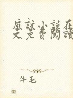 应该小说在线全文免费阅读