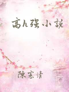 高h强小说