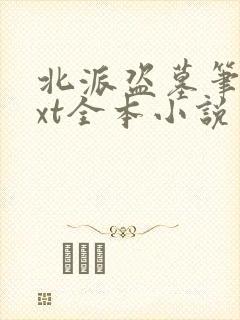 北派盗墓笔记txt全本小说