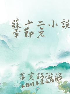 苏十二小说最新章节免
