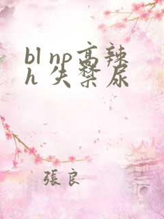 bl np高辣h 失禁尿