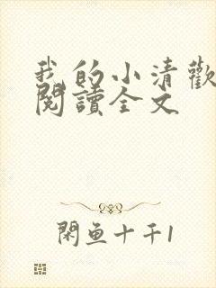 我的小清欢在线阅读全文