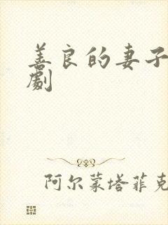 善良的妻子 韩剧