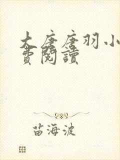 大唐唐羽小说免费阅读