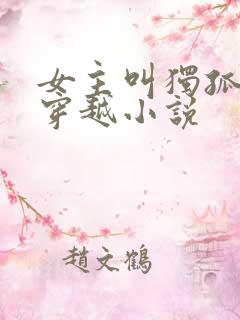 女主叫独孤月的穿越小说