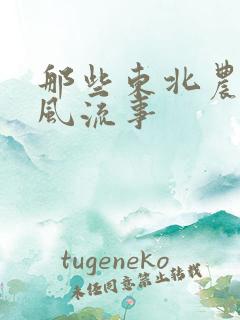 那些东北农村的风流事