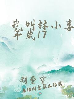 我叫林小喜,今年岁17