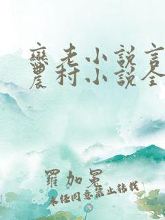 恋老小说言情网农村小说全文阅读