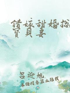 错嫁甜婚总裁的宝贝妻