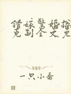 错嫁惊婚总裁请克制全文免费阅读