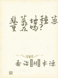 韭菜地种葱算是重茬吗?