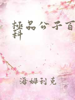 极品公子百度百科
