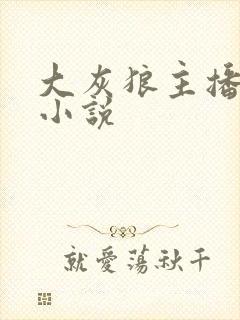 大灰狼主播有声小说