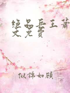 绝品兵王萧宇全文免费