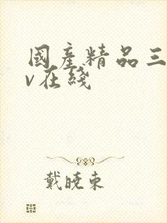 国产精品三级av在线