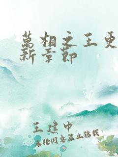 万相之王更新最新章节