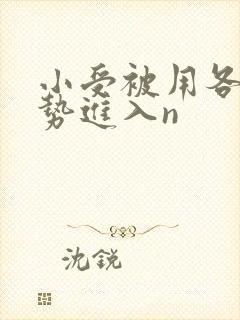 小受被用各种姿势进入n