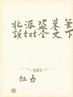 北派盗墓笔记小说txt全文下载